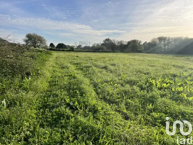 Land  at Belinho e Mar