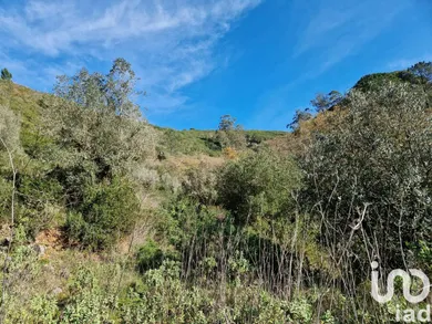 Terrain  à Porto de Mós - São João Baptista e São Pedro