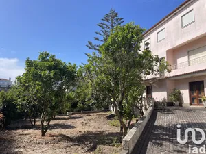 House at Sesimbra (Castelo)