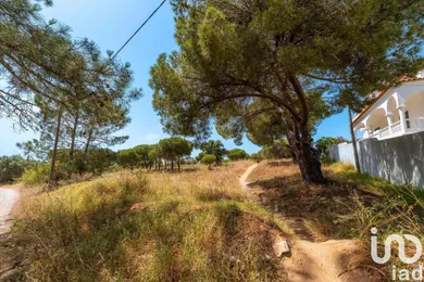 Terreno  em Montenegro