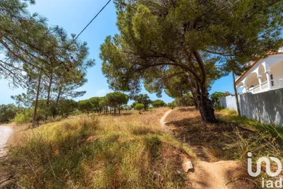 Fotografia 3 de Terreno de 5320 m² em Montenegro