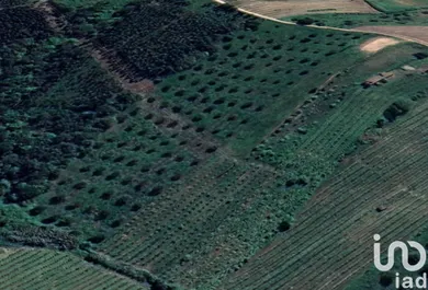 Terreno  em Painho e Figueiros