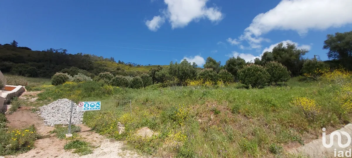 Terreno de 7390 m² em Rio Maior