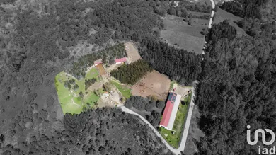 Loja / Estabelecimento Comercial  em Moledo