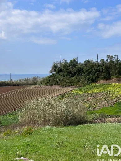Land  in Lourinhã e Atalaia