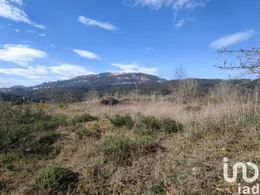 Land in Bárrio e Cepões