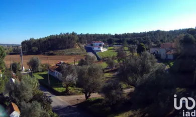 Farm  in São João da Ribeira e Ribeira de São João
