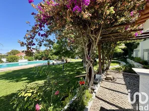 House  in Azeitão (São Lourenço e São Simão)