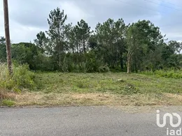 Terreno urbano em Monte Real e Carvide