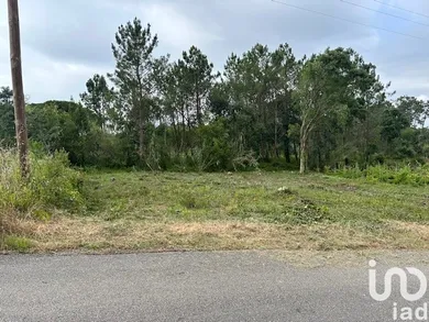 Terreno urbano  em Monte Real e Carvide
