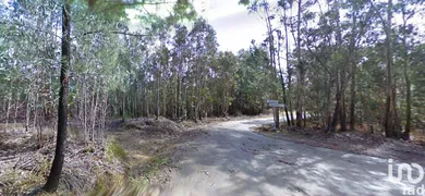 Terreno rústico  em Espinhal