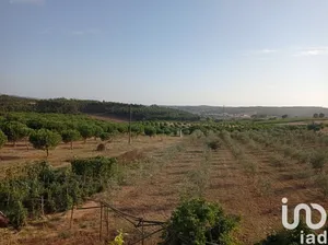 Terreno urbano em Cadaval e Pêro Moniz