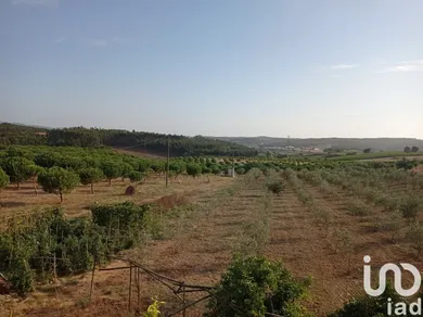 Terreno urbano em Cadaval e Pêro Moniz