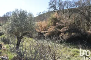 Land at Freixianda, Ribeira do Fárrio e Formigais