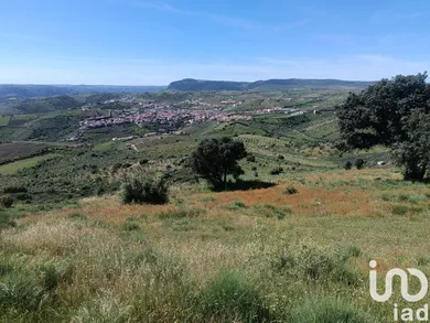 Terreno em Freixo de Espada à Cinta e Mazouco