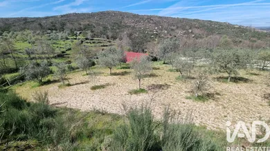 Quinta em Cortiçô da Serra, Vide Entre Vinhas e Salgueirais