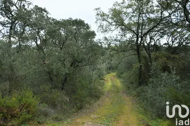 Terreno  em Areias e Pias