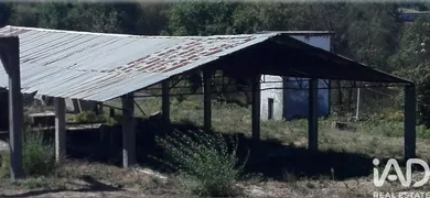 Armazém em Mangualde, Mesquitela e Cunha Alta