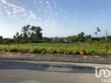 Terreno em Vieira de Leiria