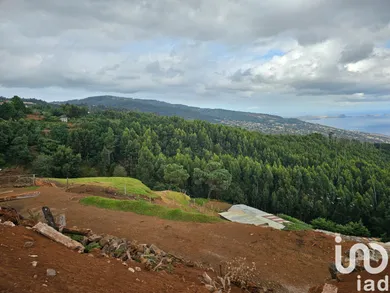 Land in Santa Cruz