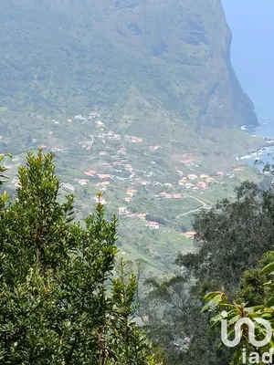 Farm land  at Porto da Cruz