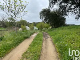 Farm in São Martinho das Amoreiras