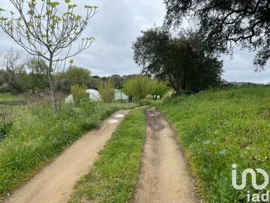 Ferme  à São Martinho das Amoreiras