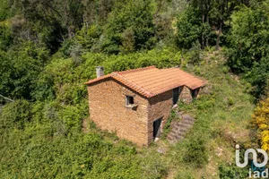 Casa de campo  em Côja e Barril de Alva