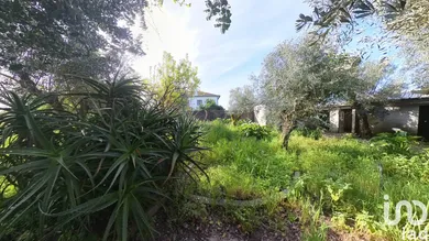Terreno  em Pedrógão Grande