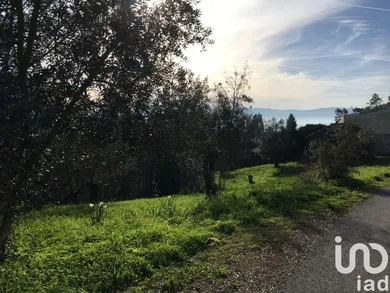 Terreno  em Ceira