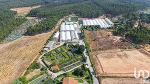 Shop/Premises commercial at Ramalhal