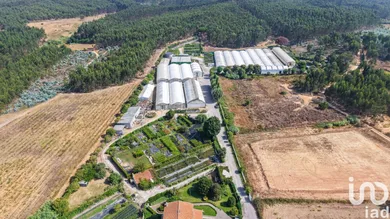 Shop/Premises commercial at Ramalhal