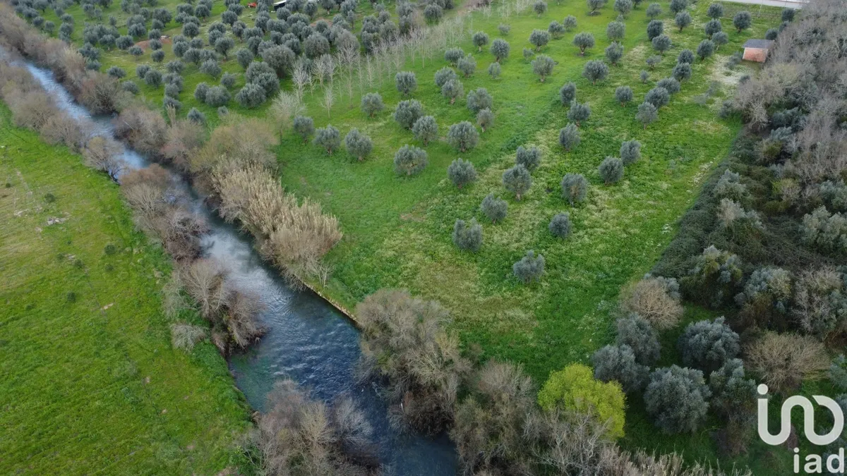 Terreno de 6021 m² em Freixianda, Ribeira do Fárrio e Formigais