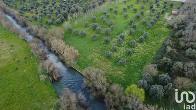 Terreno em Freixianda, Ribeira do Fárrio e Formigais