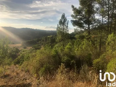 Farm land at Vinhais