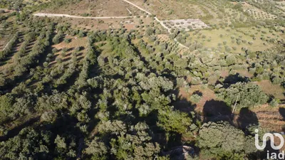 Fotografia 3 de Terreno de 4800 m² em Chãos