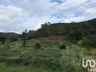 Fotografia 5 de Terreno rústico de 23 970 m² em Mexilhoeira Grande