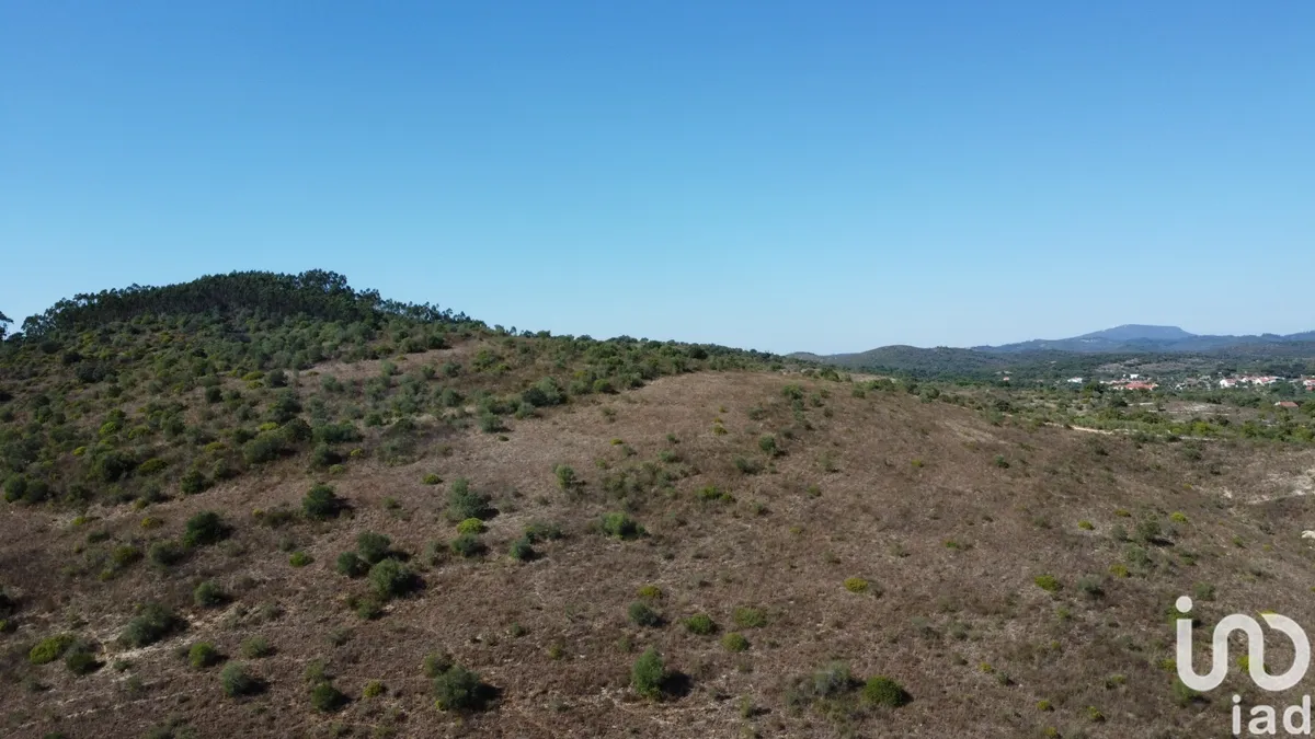 Terreno de 33 440 m² em Chãos