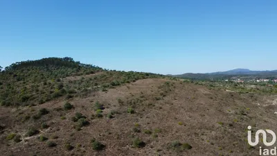 Fotografia 1 de Terreno de 33 440 m² em Chãos