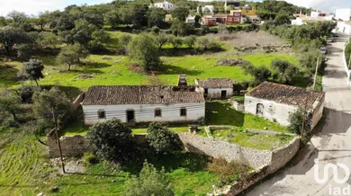 Ferme  à São Brás de Alportel