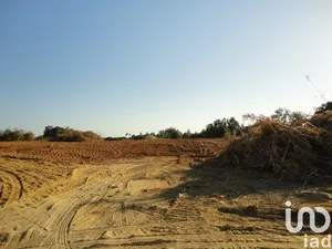 Terreno em Albufeira e Olhos de Água