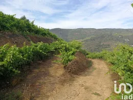Terrain agricole à Vila Seca e Santo Adrião