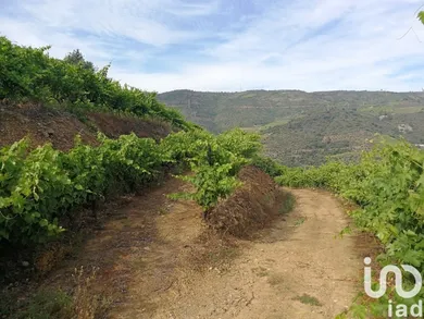 Farm land  in Vila Seca e Santo Adrião