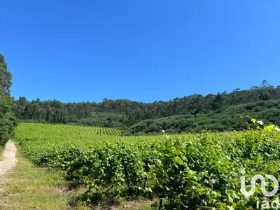 Fotografia 6 de Terreno misto de 2507 m² em Lustosa