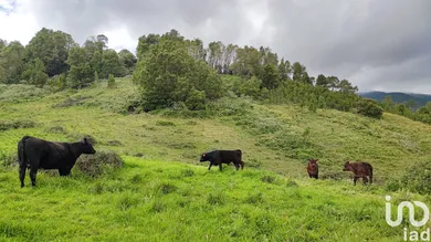 Land in Povoação