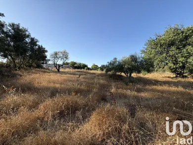 Building plot at Santa Bárbara de Nexe