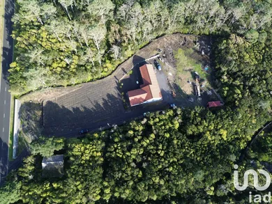 House  in São Caetano