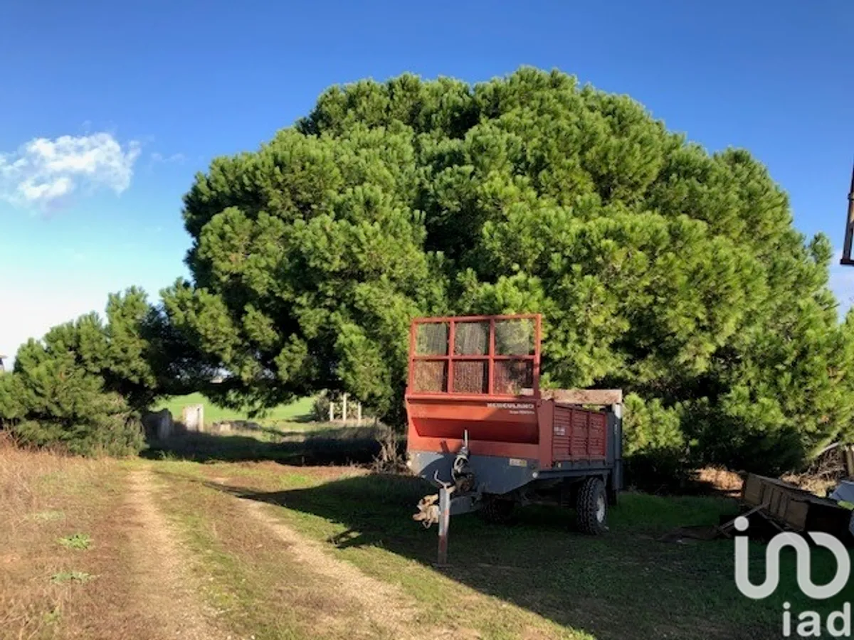 Terreno de 129 000 m² em Pinhal Novo