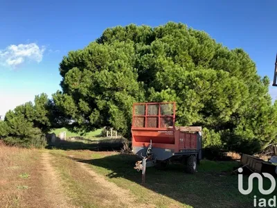 Fotografia 1 de Terreno de 129 000 m² em Pinhal Novo