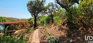 Land  at Barão de São Miguel